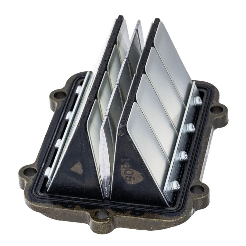 Polaris Reed Valve Assembly - 1202698