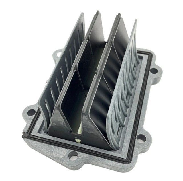 Polaris Reed Valve Assembly - 1205639