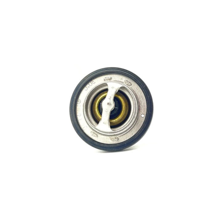 Polaris Thermostat Assembly, 4 Wax - 1206124