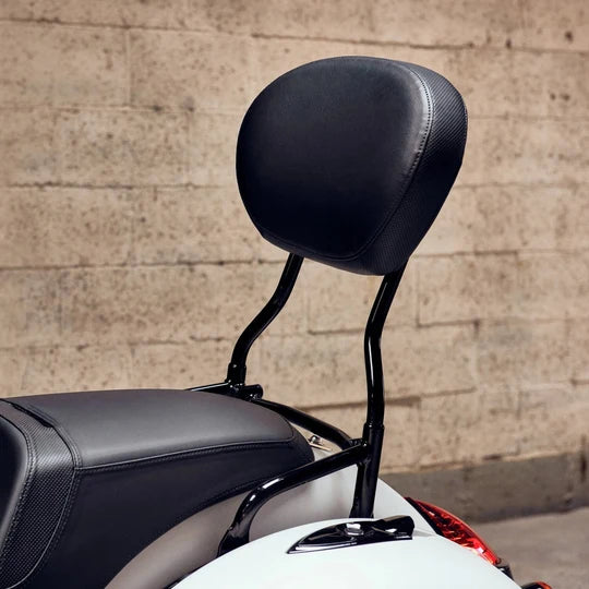 Indian Motorcycle Steel 14 in. Quick Release Passenger Sissy Bar