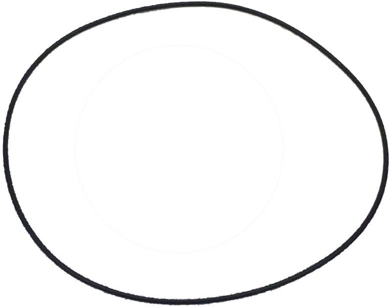 Polaris Cylinder O-Ring - 5411359