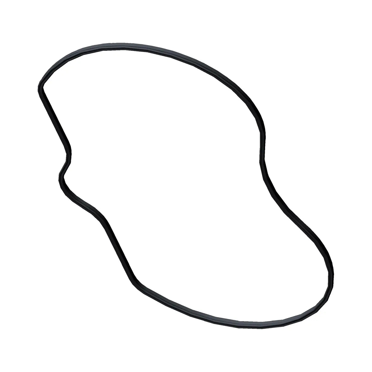 Polaris Gland Head Seal - 5413230