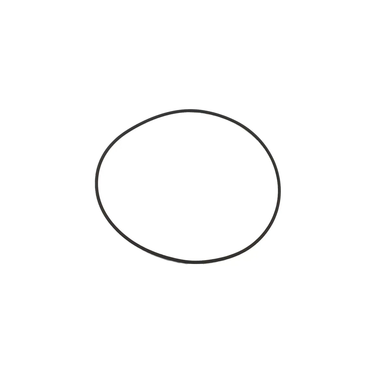 Polaris Hi Temp O-Ring, 3.664 x 3.804 x 07 - 5413319