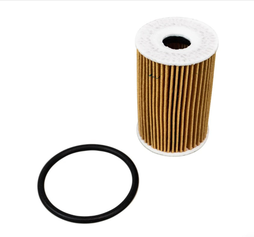 Polaris Filter and O-Ring for Aluminum Cap - 0454822