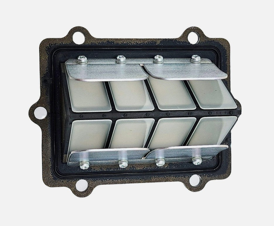 Polaris Reed Valve Assembly - 1201825