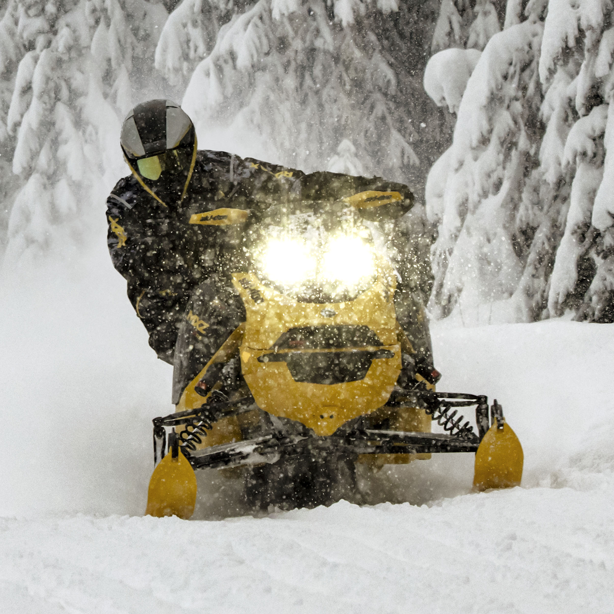 Ski-Doo RAS RX Front Suspension