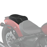 Indian Motorcycle Passenger Pillion for Scout