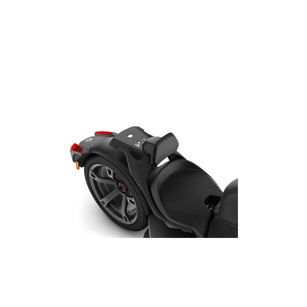 Can-Am Ryker 1-up Driver Backrest