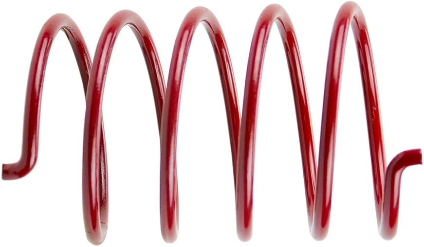 Polaris Genuine OEM Driven Clutch Spring, Red
