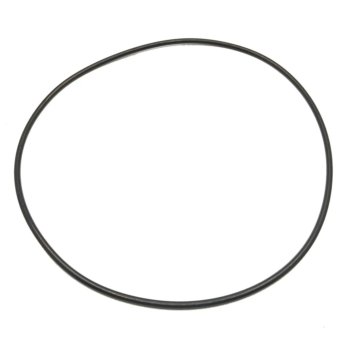 Polaris O-Ring Gasket - 5411497