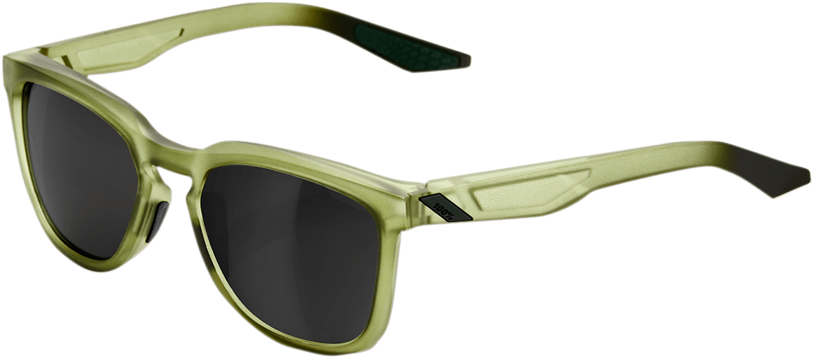 100% Hudson Sunglasses