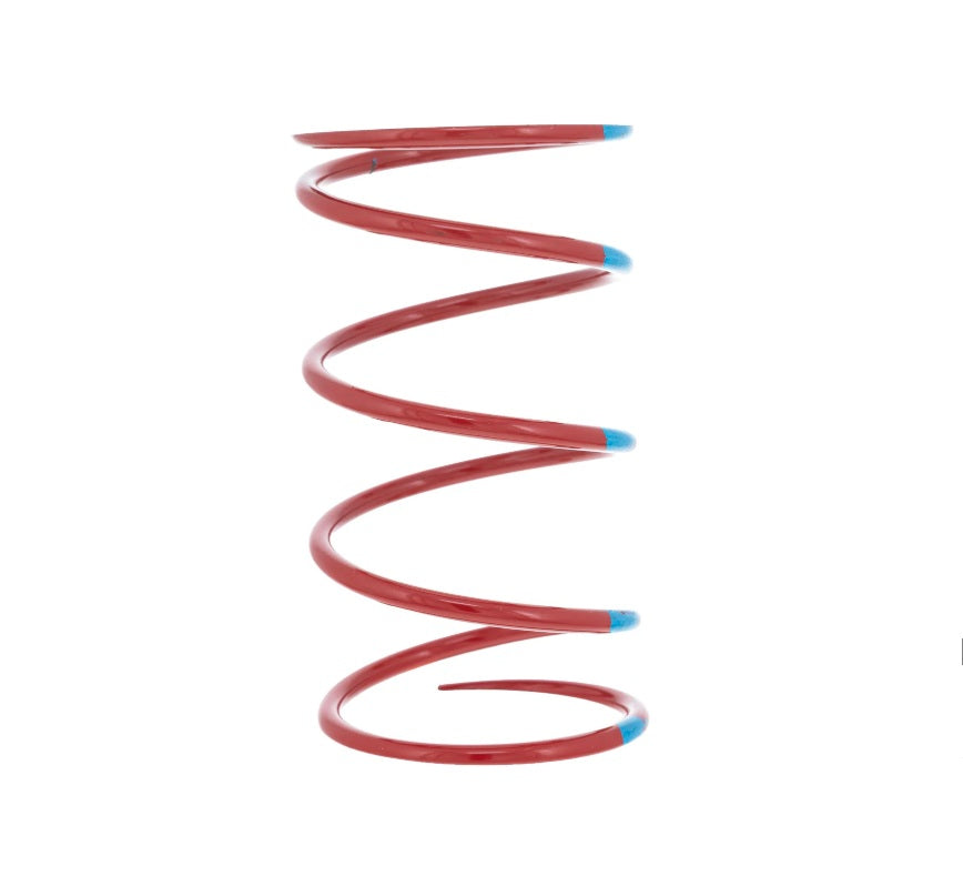 Polaris Driven Clutch Spring, Left, Red/Blue - 7043057